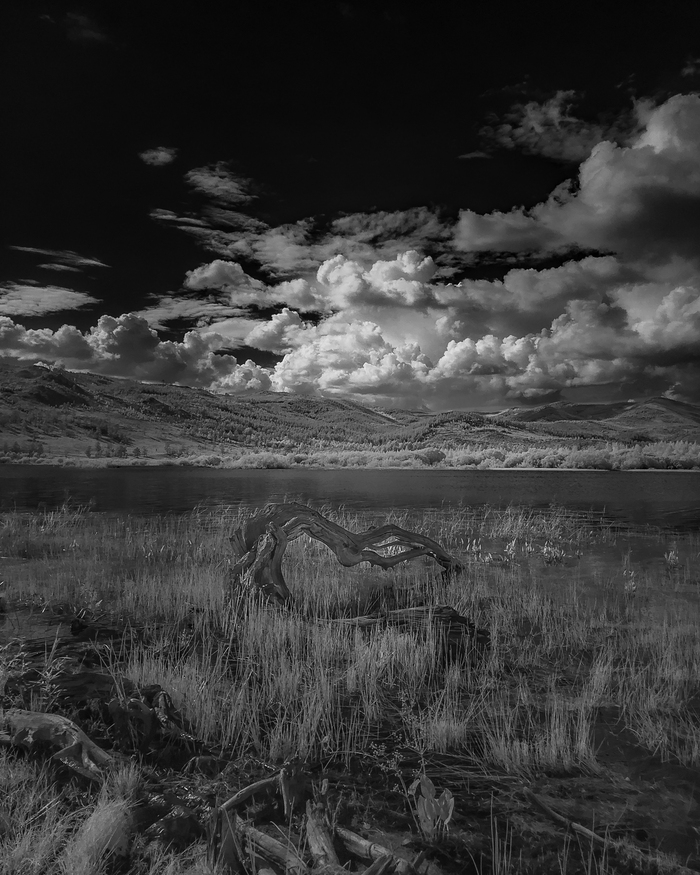  :   , , , , ,  ,  , , Lightroom mobile, ,  , - 