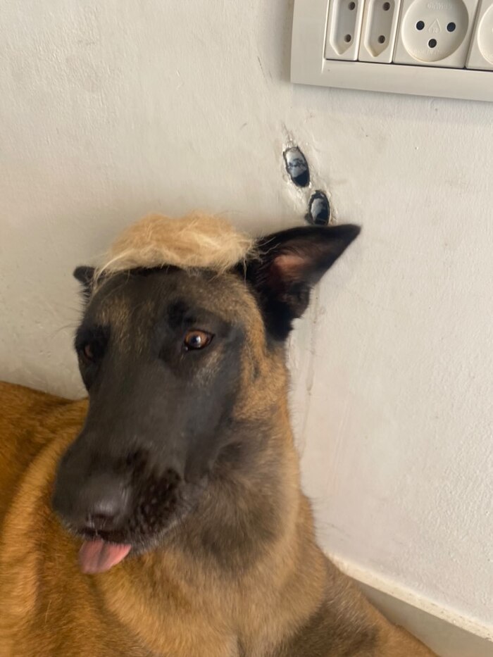 На кого похож?