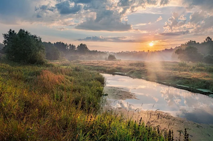 Доброе утро - Красота, Фотография, Утро, Доброе утро, Природа, Природа России, Пруд, Поле, Красивый вид