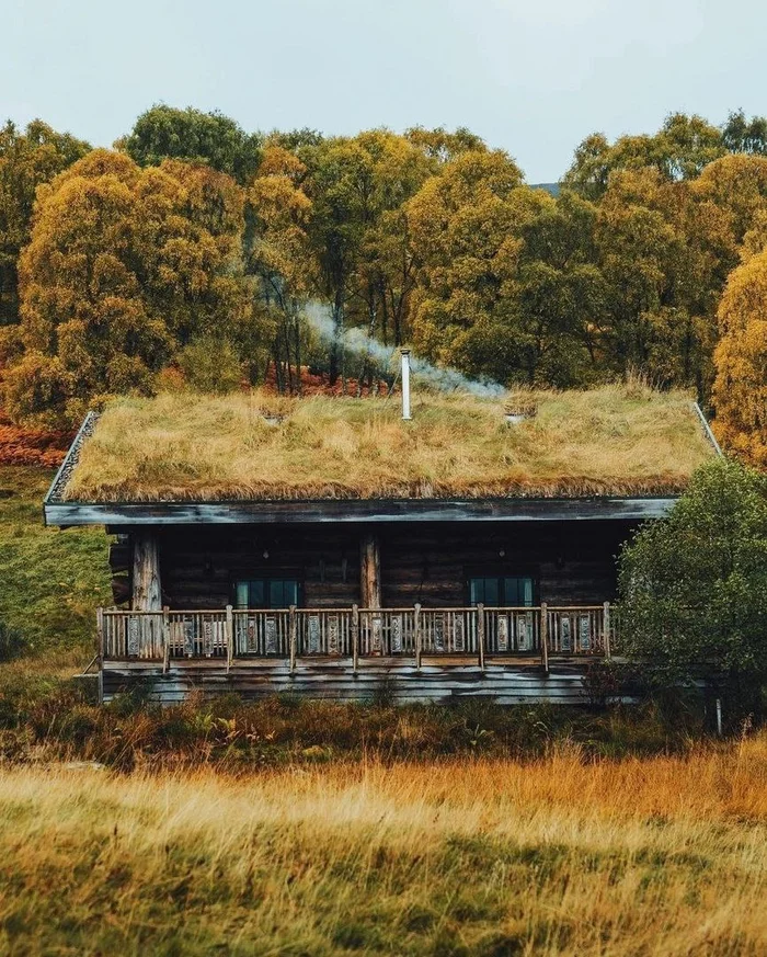 House by the water in the forest - beauty, The photo, Nature, House, Lake, Reflection, Pond, Beautiful view, Photographer, wildlife, Longpost