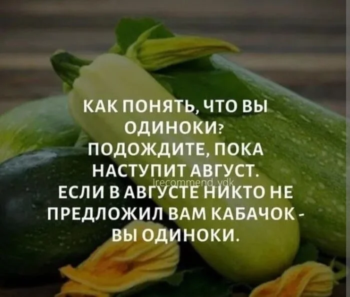 Surgut, respond! - My, Zucchini, Help, Surgut