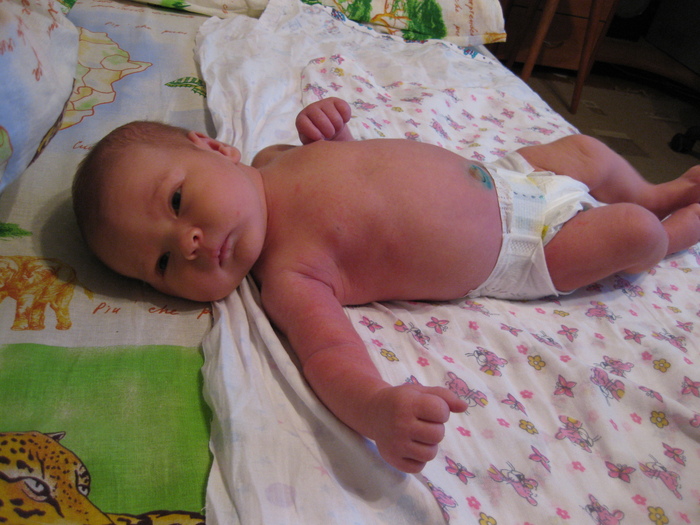2009  15  ,   , , , , , , , 