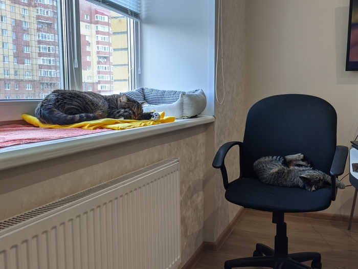 ����� �����