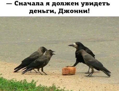 Still from a film about the mafia... - Humor, Picture with text, Smart Crows, Repeat