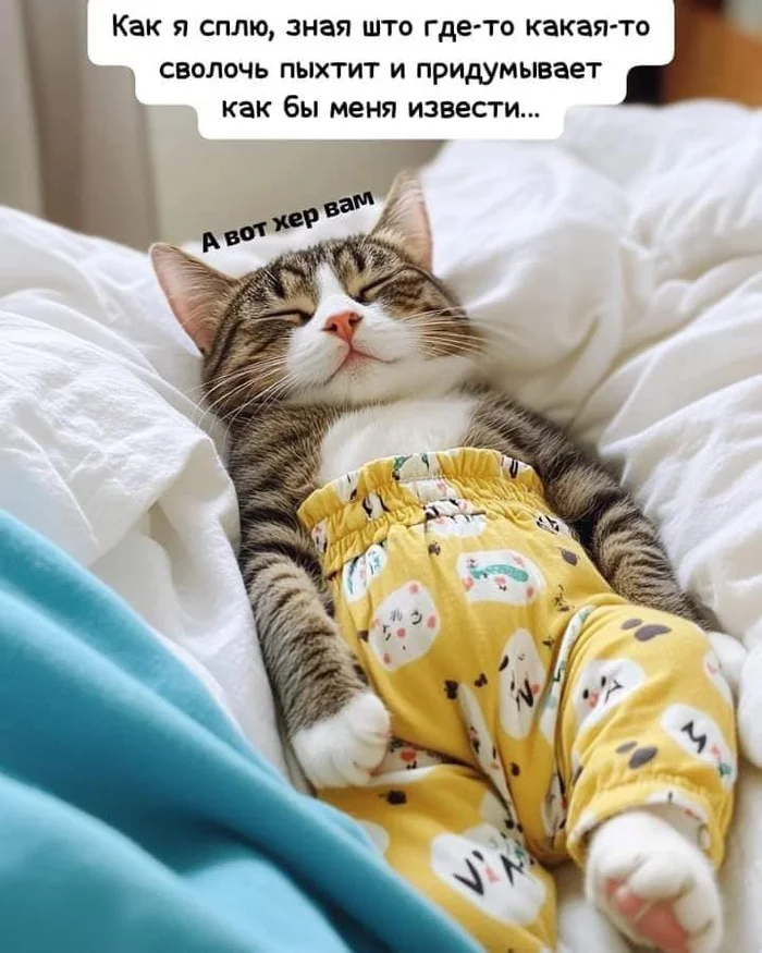 You won't be able to do anything))) - cat, Pajamas, Picture with text