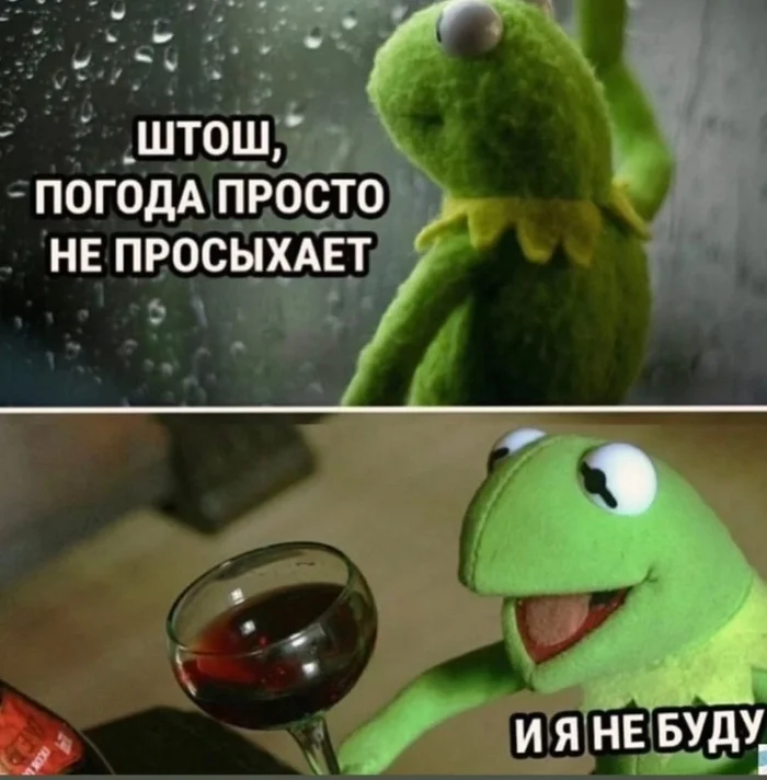 Hydrometeorological Center News - Humor, Weather, Picture with text, Kermit the Frog