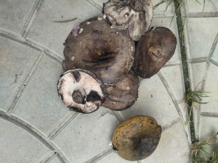 ����. ����� �� ������ ������