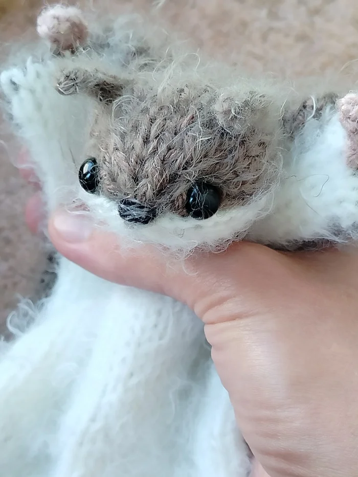 Letyazhka 2.0 - Flying squirrel, Handmade, New items, Improvements, Knitting, Knitting, Amigurumi, Toys, Knitted toys, Animals, Milota, Needlework without process