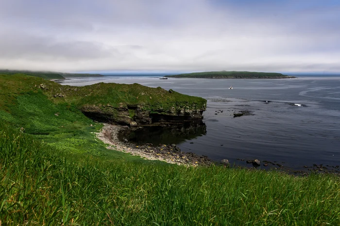 Do you see the crocodile? - My, The photo, Matua, Kurile Islands, Crocodiles