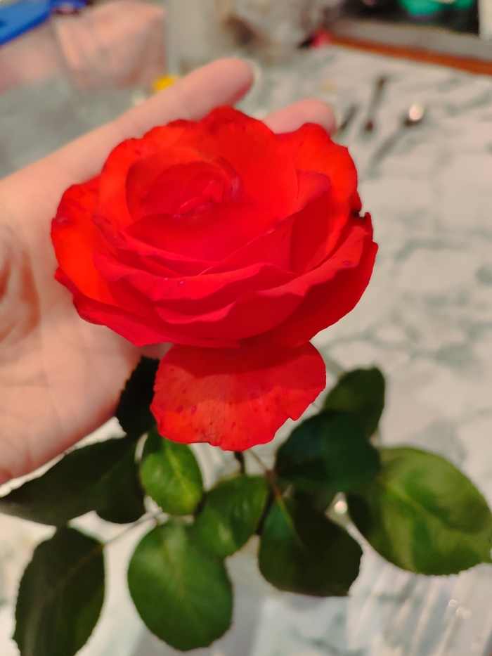 Приятности