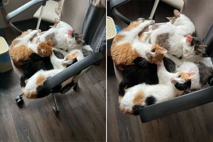 ������ � ����������