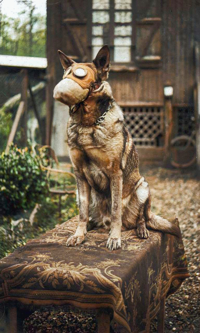 Подборка фотографий из прошлого, которые заставляют удивиться. 20 раскрашенных фотографий из XIX-ХХ века. Часть VII Историческое фото, Старое фото, Фотография, 20 век, Колоризация, Длиннопост