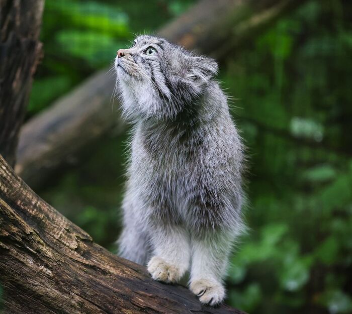 ���-���-���