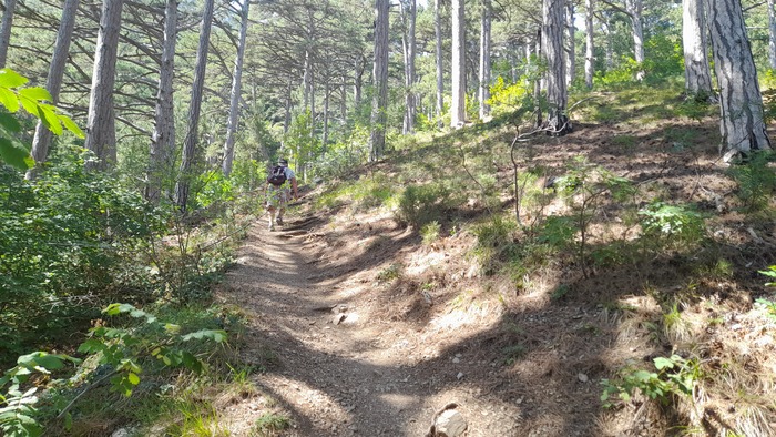 ����� �����.