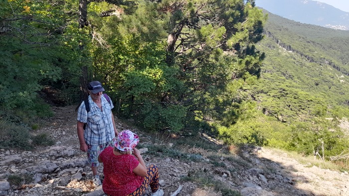 ������� �� �������� ����� (2/3 ��������).