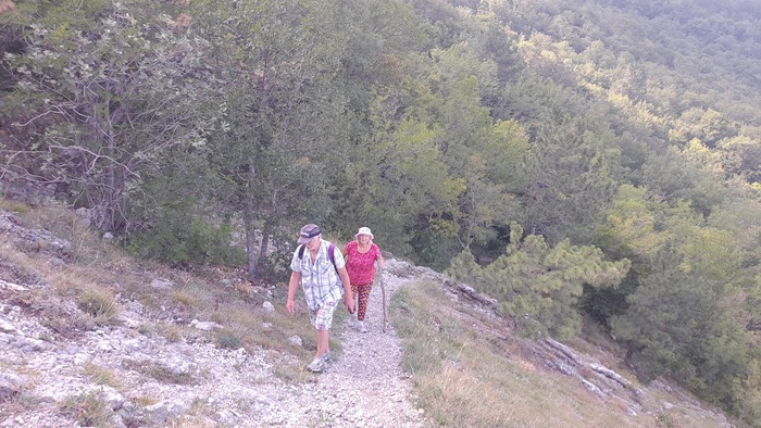 �������� 1/4 ��������. ����� �������� ��������, ������� ����� �� ������ �������� ����� ������ � �������� �� ����� ������.