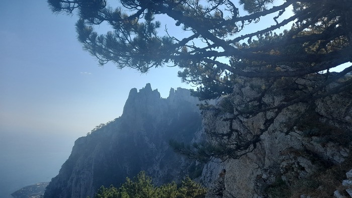 ��� �� ��������� �������� �� ����� ��-�����.