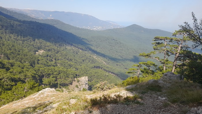 ��� �� ��������� �������� �� ������� ����� � ����.