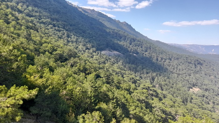 ��� �� ������ ������ � �������� �����.