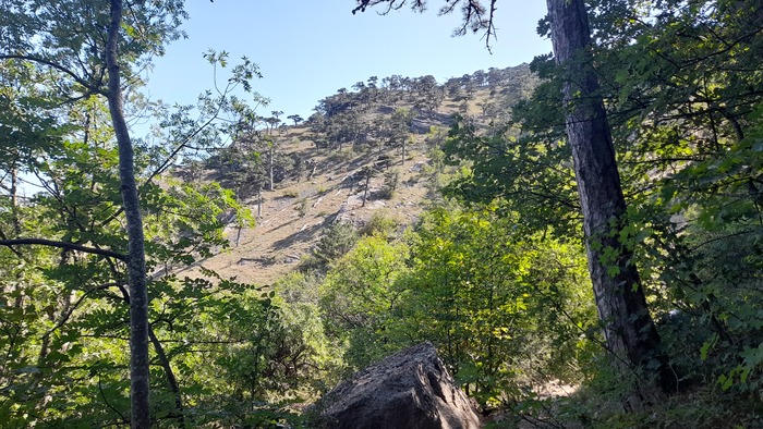 ���� � ������� ���-�� �������� �� �������� �����.