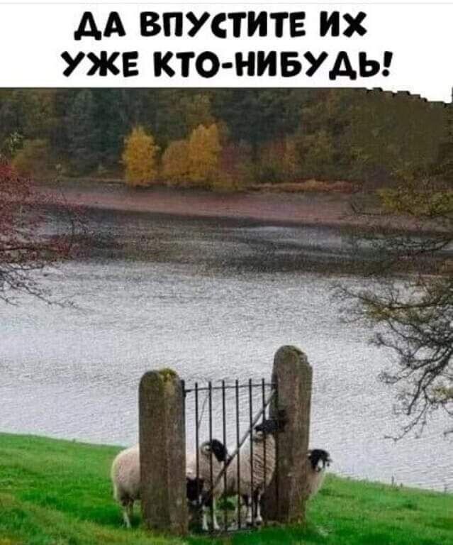 Даже жалко немного стало