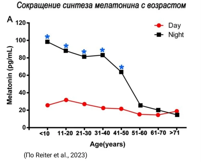 The reason why people over 40 start waking up early in the morning - My, Dream, Melatonin, The science, Youth, Mat