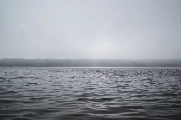 Fog on the spill - My, The photo, Nature, Saint Petersburg, Sestroretsky spill, Fog