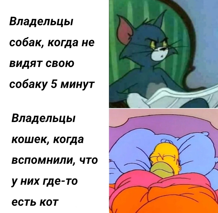 Главное знать, что он есть