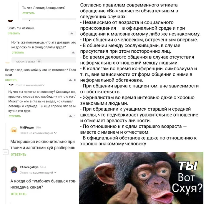 До трясучки - Моё, Этикет, Общение, Комментарии, Скриншот, Бесит, Неуважение, Пикабу, Картинка с текстом, Мат, Комментарии на Пикабу