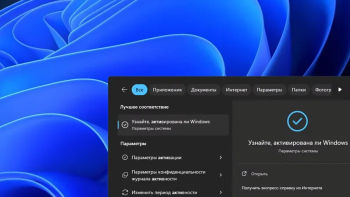 Как купить и установить Windows 8.1, Windows 10, Windows 11 за 200 рублей? - Моё, Windows, Чат-Бот, Тренд, Linux, Инновации, Лайфхак, Chatgpt, Программа, Google, Тестирование, Инструкция, Длиннопост