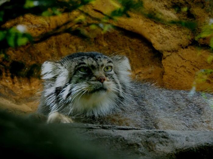 Барыня отдыхать изволит