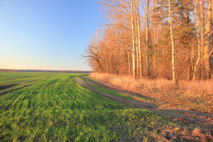 ������� ������� ���