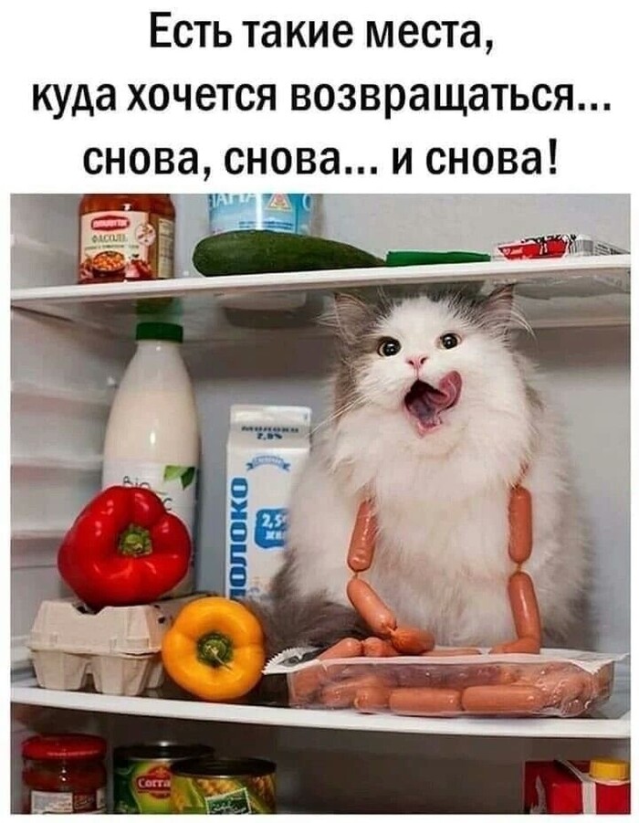   ,  , ,   ,  , 