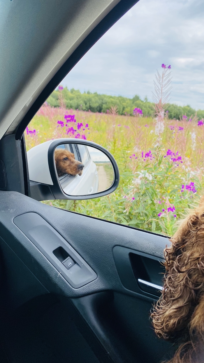 Поделитесь летними воспоминаниями