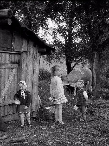 Village life - the USSR, Youth, Youth, Village, Milk, Children, The photo, Old photo, Telegram (link)