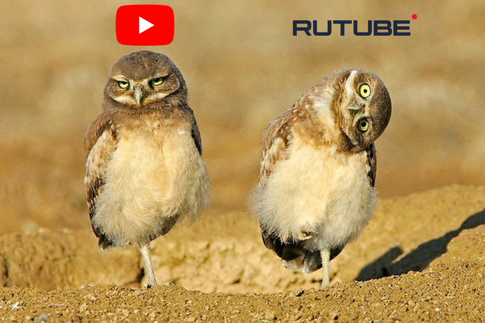 Я и мой брат…