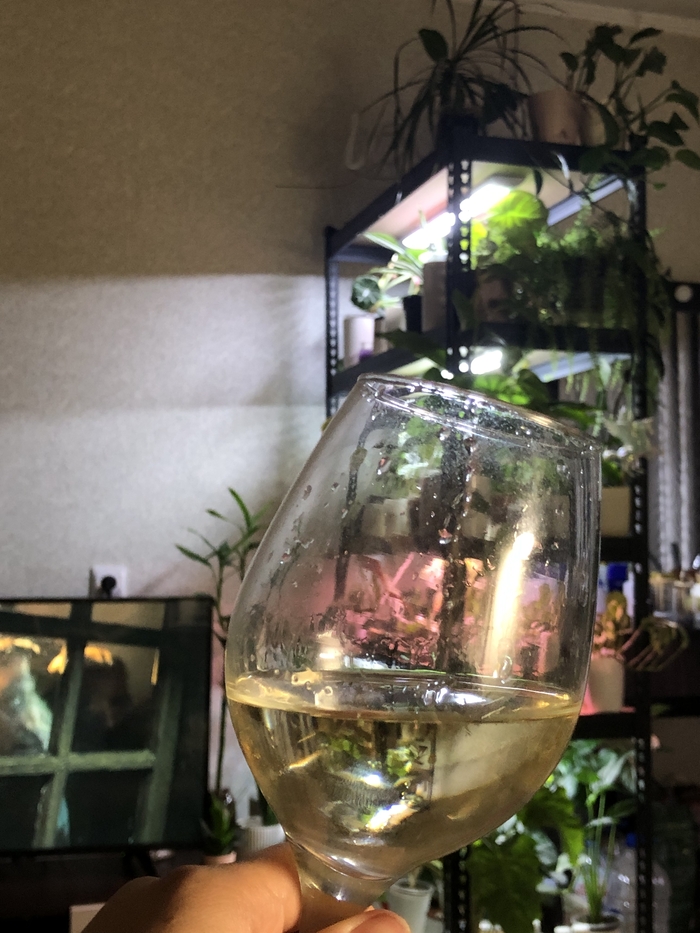 Не расстраивайтесь, если оно сдохло