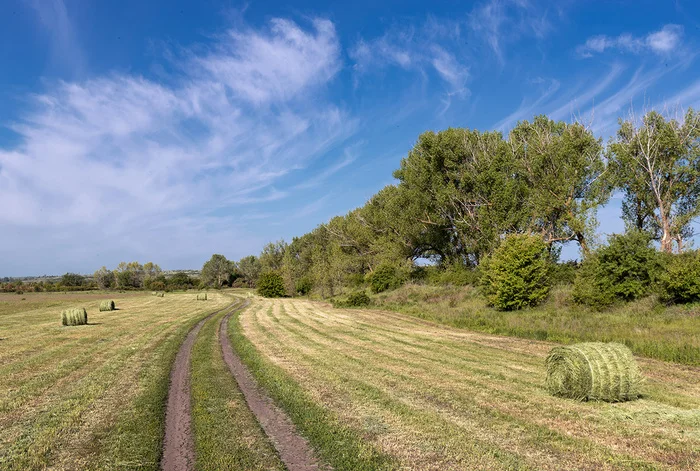 Road through hayfield - My, Steppe, Rostov region, Haymaking