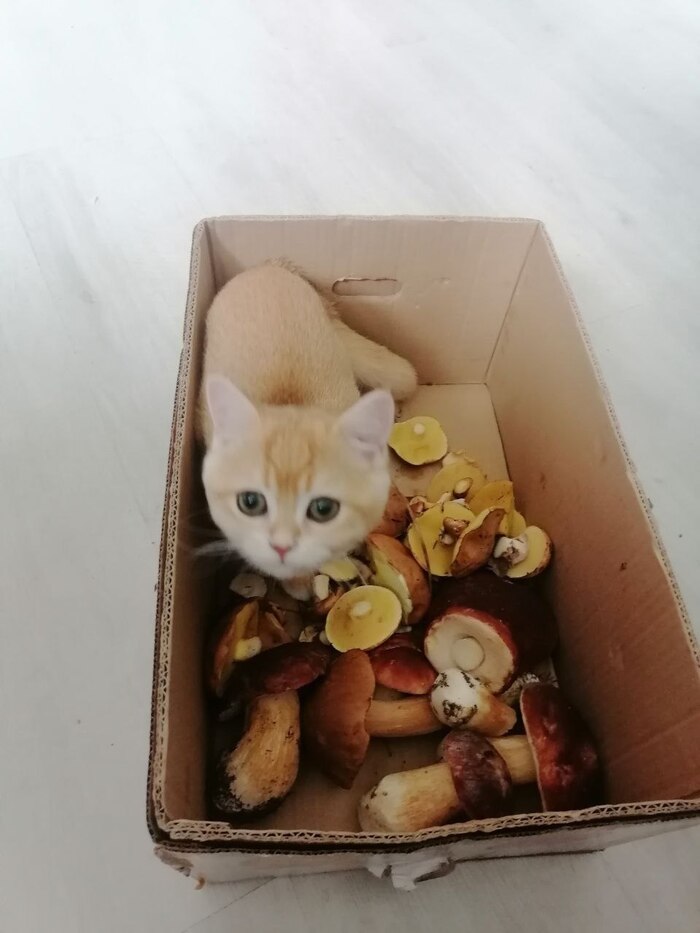 �� � ������, �� ������ ����������