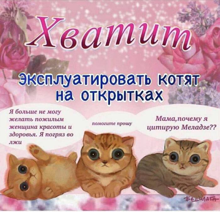 Хваааатииит - Мемы, Кот, Картинки, Картинка с текстом