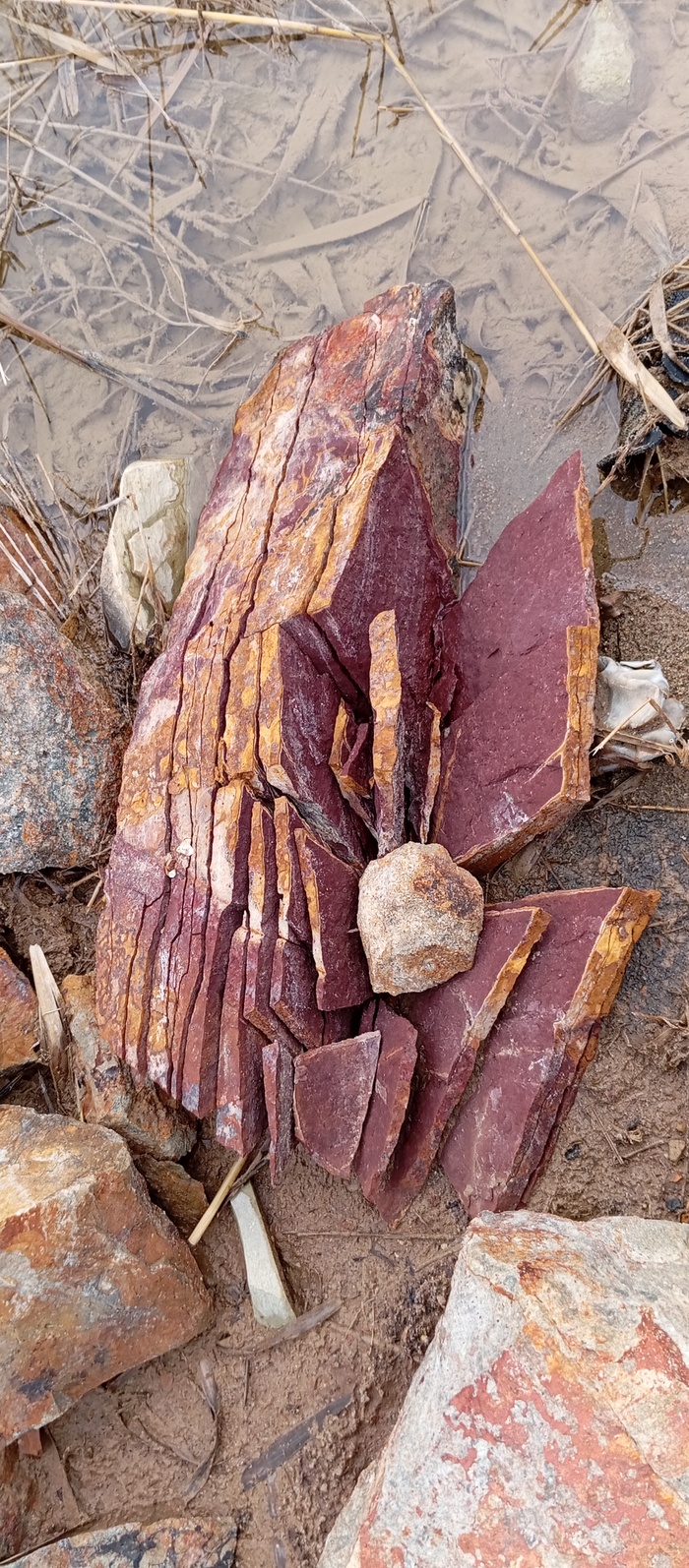 На вид как бастурма))))