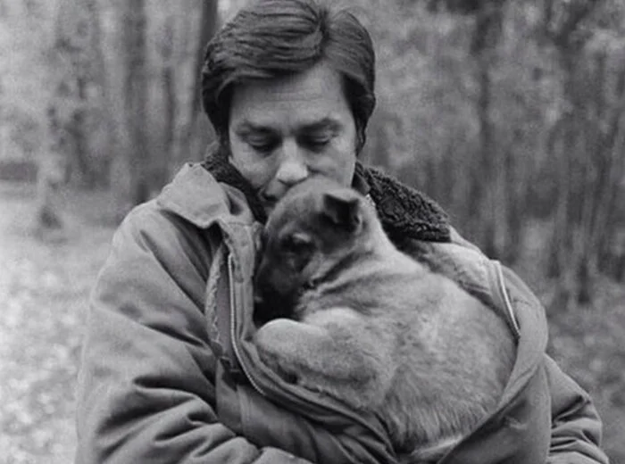 Alain Delon passed away today. Great actor, great man... - Homeless animals, Kindness, Dog, Charity, Dog lovers, Alain Delon, Actors and actresses, Friend, Care, Longpost, Obituary