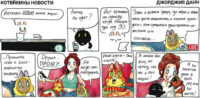 Koteikin News from 08/18/2024 - My, cat, Comics, Koteikin news (comic), Translation