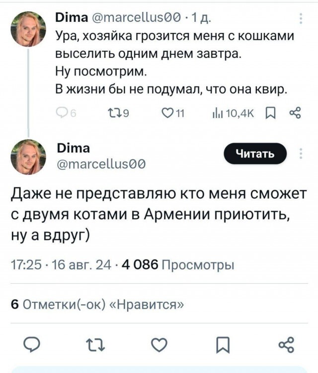 In Armenia, an apartment tenant is kicked out onto the street with two cats. Almost for nothing... - Armenia, Rent, The property, Lodging, Apartment, Srach, Relocation, cat, Eviction, Inadequate, Impudence, Screenshot, Twitter, It Was-It Was, IT specialists, Longpost, Mat