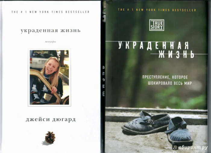 Five books about famous kidnapping cases. One of them was written by the kidnapper's lawyer - Abduction, Kidnapping, The crime, Criminal case, Crime, Maniac, Skopinsky maniac, Josef Fritzl, Punishment, Расследование, Prison, Books, Victim, Ethics, Court, Media and press, Natasha Kampusch, YouTube (link), Longpost, Negative