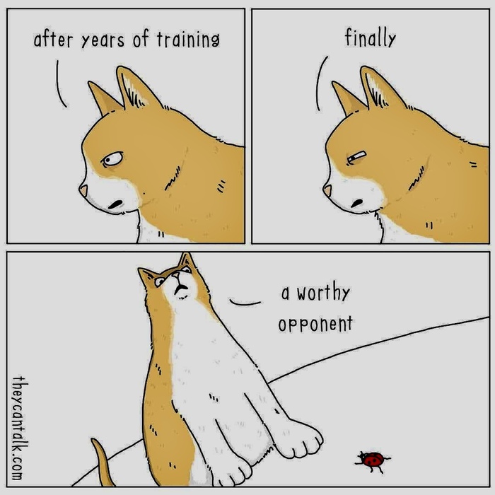   , 
