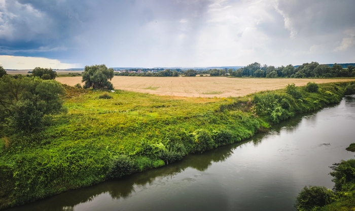 Перед дождем