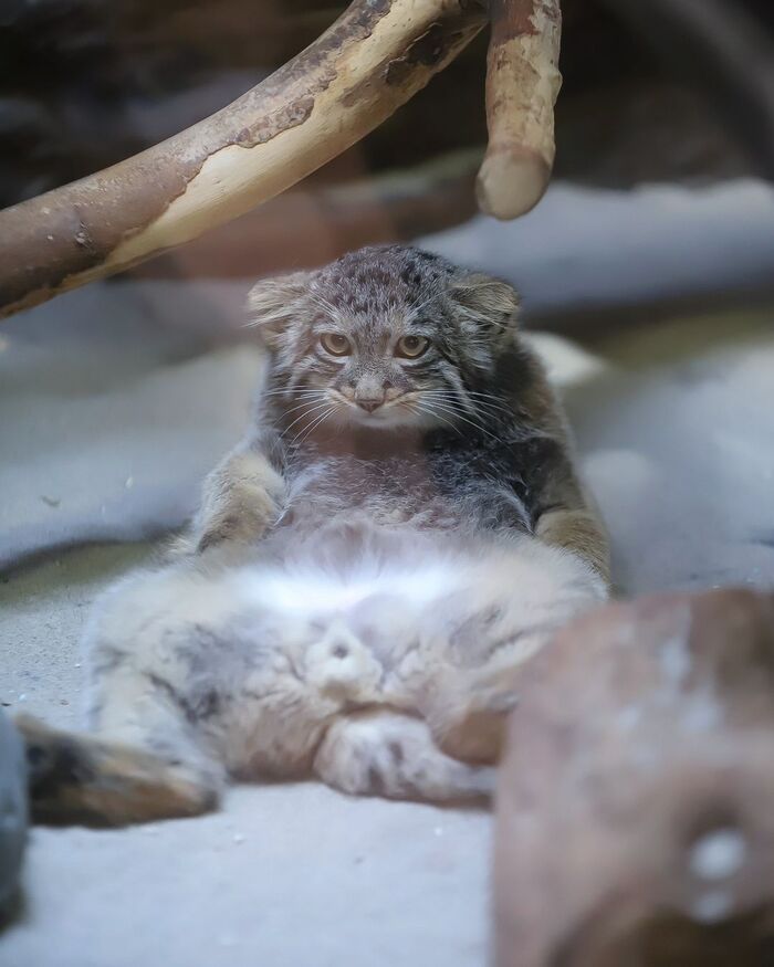 ���� ���!