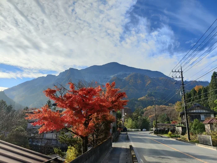 Japanese mountains. Affordable active recreation for locals - My, Japan, Hiking, Leisure, Immigrant notes, Longpost