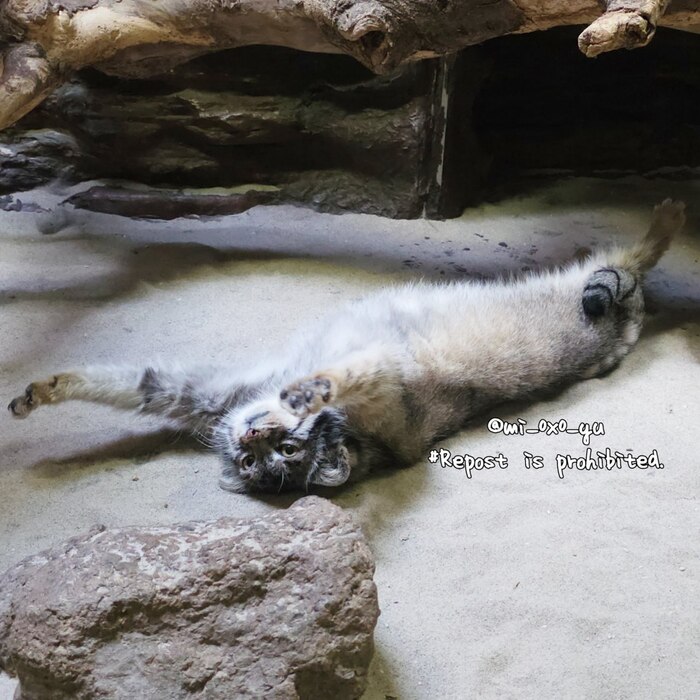 ������, ��� ��� � ������...